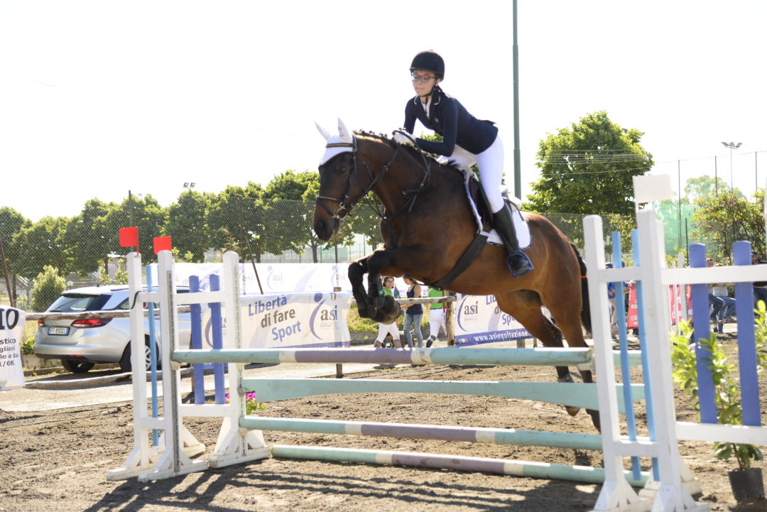 7^Tappa Trofeo Scuole di Equitazione ASI 12/11/17 C&G ASI Sport